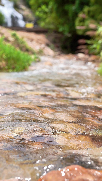 清澈的小溪流水4K空镜自然风景