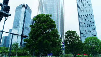 航拍深圳城市地标建筑城市风景视频素材