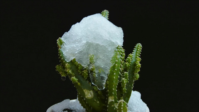 1080P冰雪融化延时实拍视频