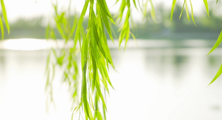 千库网_免费png图片背景素材下载,做设计不抠图