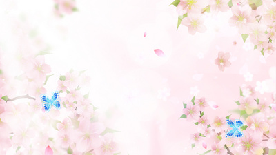 春天春季樱花粉色梦幻蝴蝶花瓣视频背景