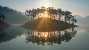 逆光树林自然风景AI视频素材