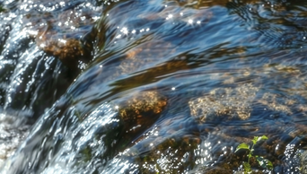 河流溪流流水自然风景AI视频素材