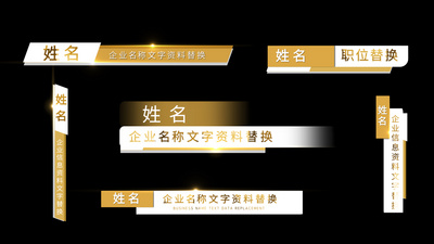 六种金色企业人名字幕条详细资料介绍视频