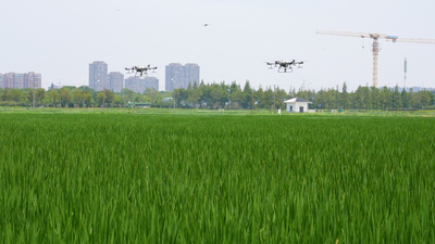 4k实拍乡村振兴农业农田无人机灌溉视频