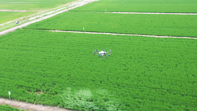 4k航拍乡村振兴农业农田无人机灌溉视频素材