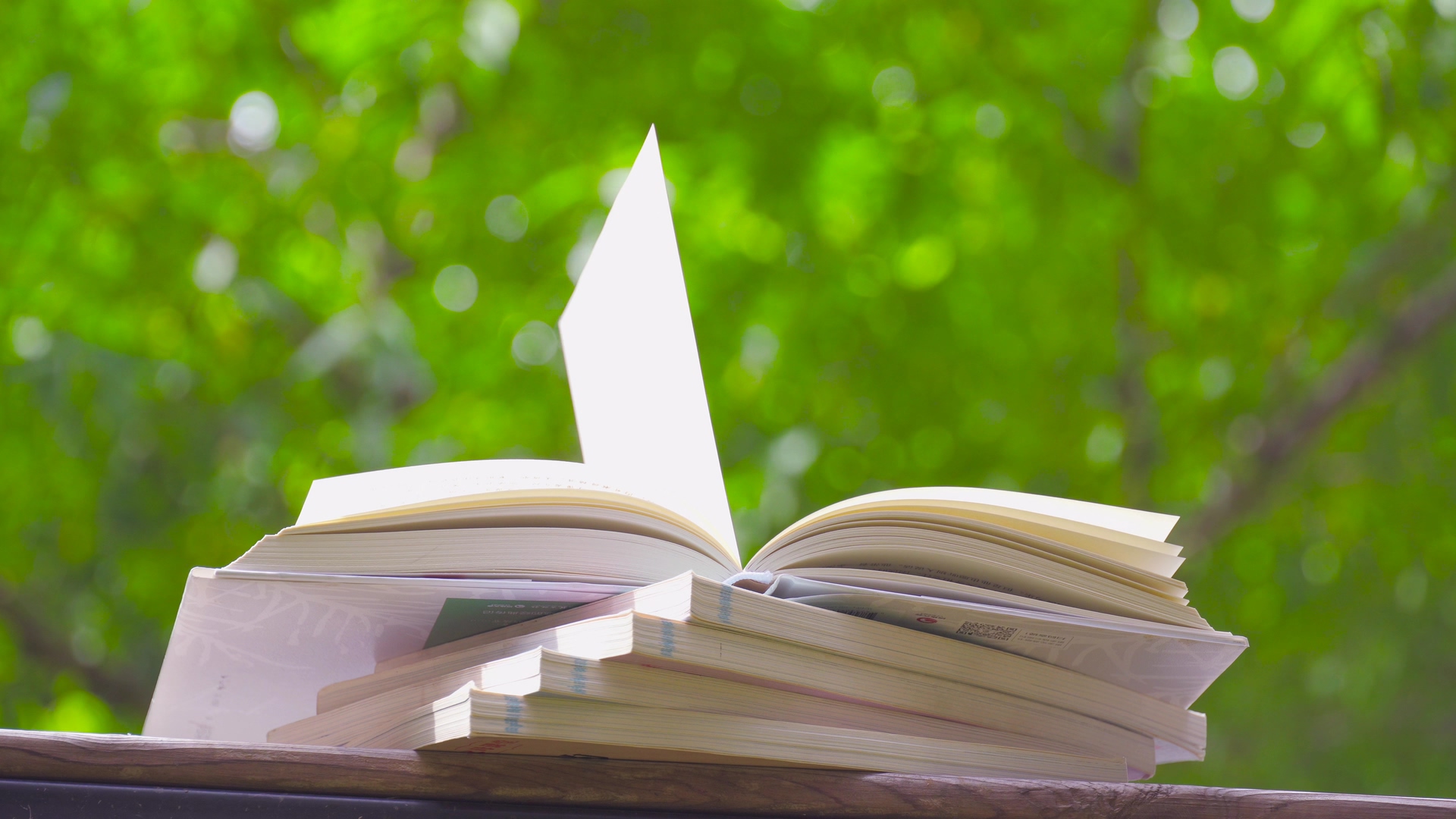 4k实拍阳光下书籍阅读风吹书页书页特写视频素材视频特效素材