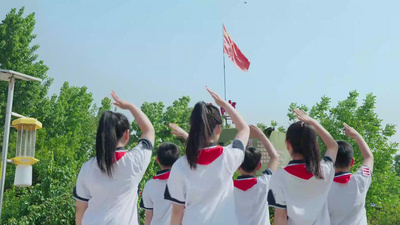 学生向国旗敬礼校园文化视频素材