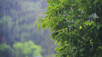 4K实拍夏日暴雨雨水天气下雨雨滴实拍视频素材