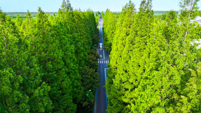 宝马m4公路视频实拍视频素材4K航拍盐城旅游黄海森林公园4A景区实拍素材