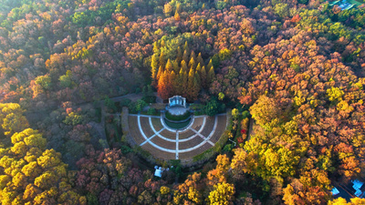 南京实拍视频素材4K航拍南京秋景南京钟山风景区音乐台秋景实拍素材