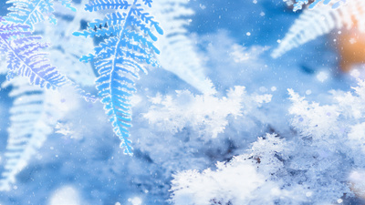 冰雪花实拍视频素材节气霜降冰蓝色雪花视频背景