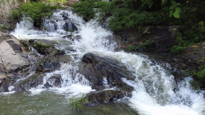 瀑布实拍视频素材山间小溪水河流水瀑布树木枝叶视频实拍视频素材