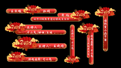 2025新年元旦春节晚会人名条字幕条花字模板视频