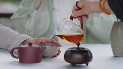 文艺白领女人喝茶聊天休闲自然恬静美好生活视频实拍