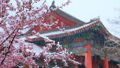 冬天实拍视频素材冬天下雪天古建筑雪景意境实拍视频素材