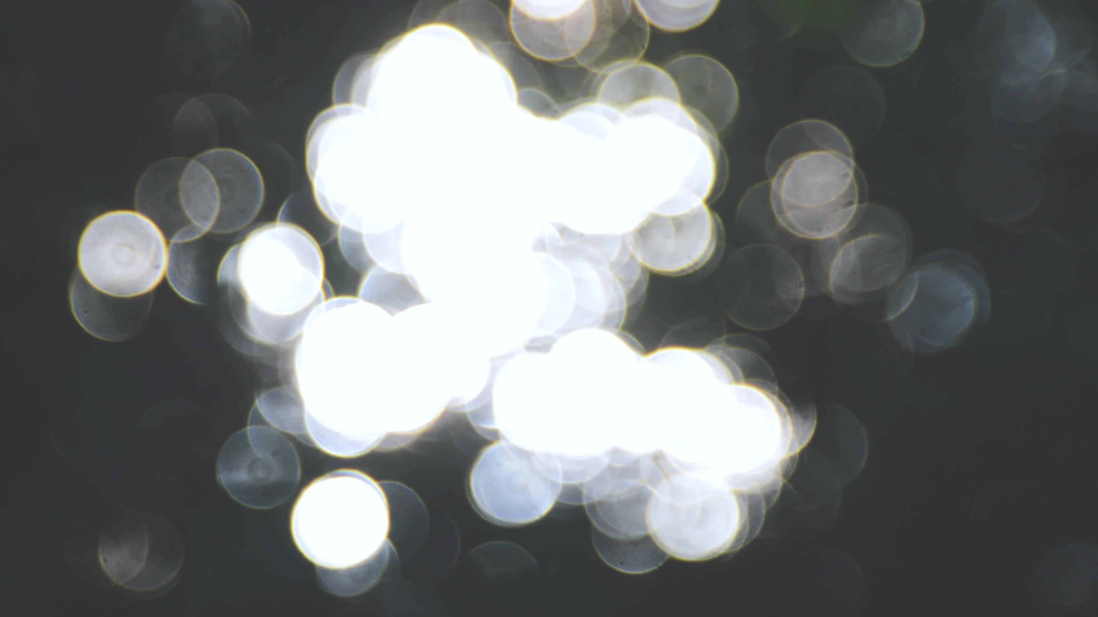 实拍树影虚化散景光晕光斑背景视频实拍素材