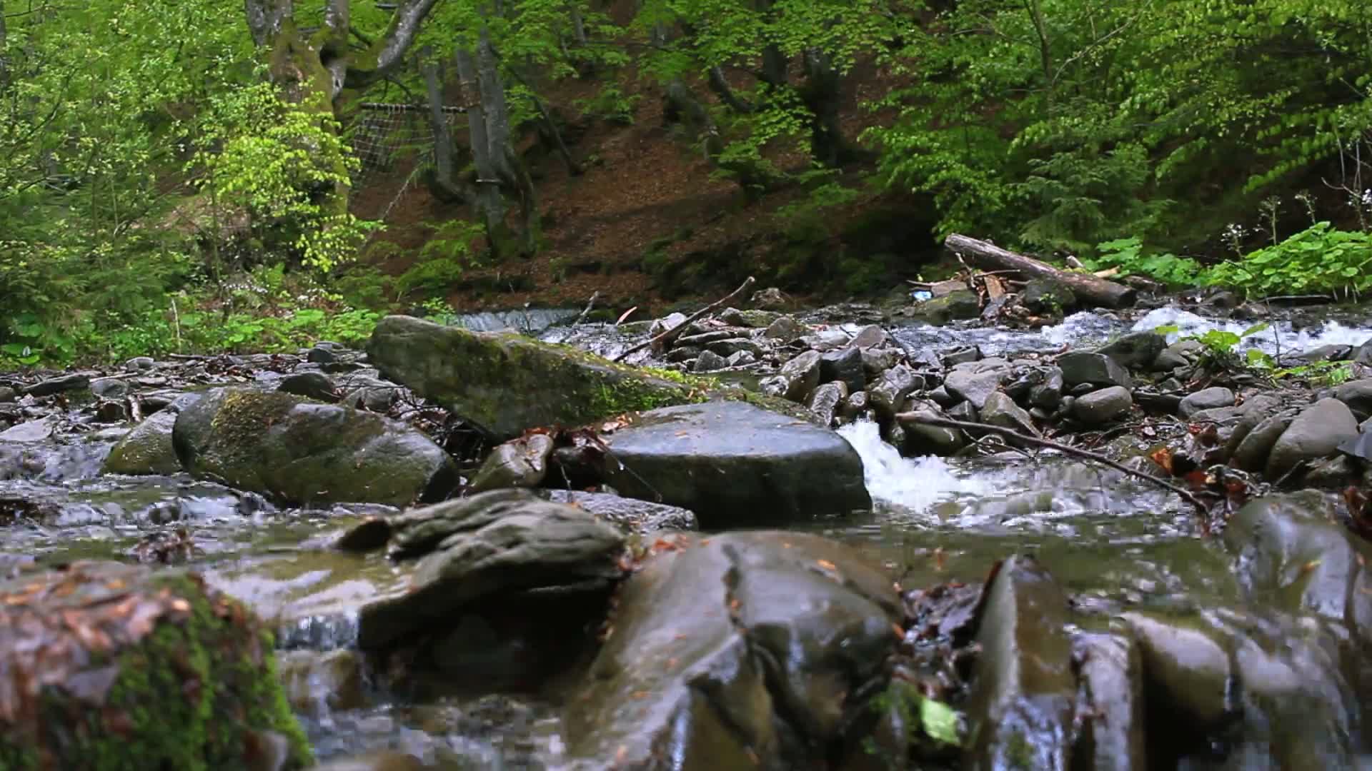 湍急的山河中间有巨大的石块野林河背景视频特效素材-千库网