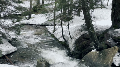 河流湍急冬日森林雪景特写小河急流春天解冻了
