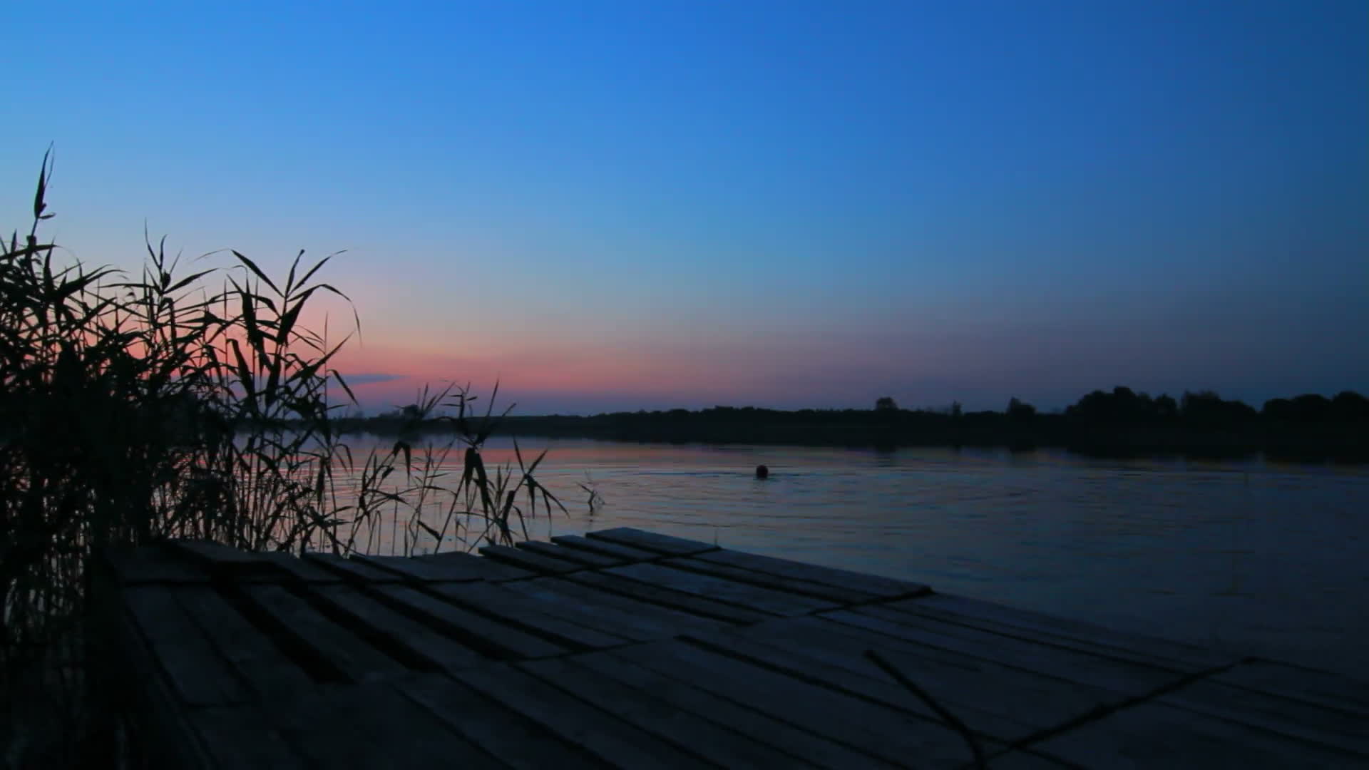 湖里的游泳者夜湖风光在湖水中夜泳视频特效素材-千库网