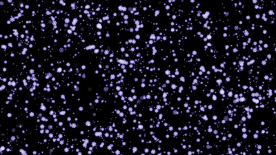 雪花飘落慢动作4K