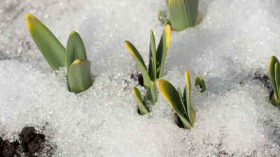 冰雪消融延时摄影