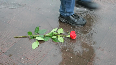 失恋男子雨中弃玫瑰