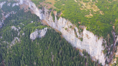 夏季山林常绿树和高山草甸的鸟瞰
