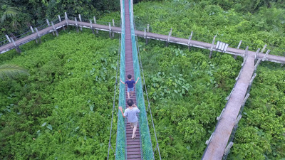 父亲在天棚人行道的吊桥上为儿子拍照