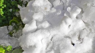 融化的雪和春天的花朵时光流逝