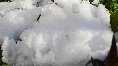 延时春天融雪概念