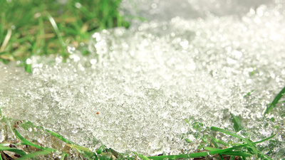 高清特写镜头一小片草叶上的积雪融化