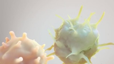 3d动画免疫细胞摧毁癌细胞