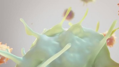 血细胞中的癌细胞3d微生物动画
