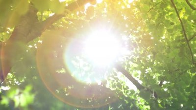 实拍视频素材太阳光闪耀着穿过树林