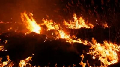 野火燃烧火焰大火4K
