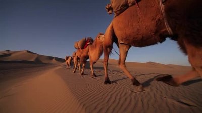 实拍视频素材骆驼大篷车在沙漠中敦煌风景自然1080
