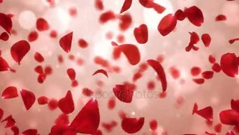 旋转飞浪漫轻红玫瑰花的花瓣背景循环 4 k