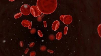 医疗实拍视频素材3D医疗可视化血液循环系统红细胞动脉血流中移动