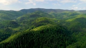 夏季的大兴安岭鸟瞰图俯拍山峰高山自然风景1080