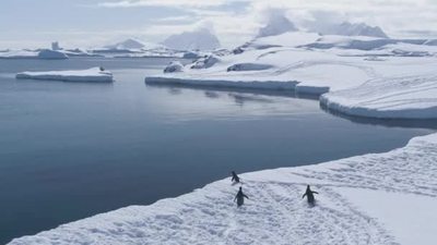 1080企鹅跳入水中南极冰川冰层冰原冰雪世界