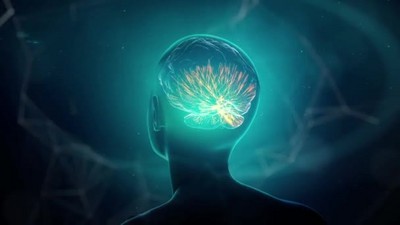 3D可视化神经元在大脑中传递信息