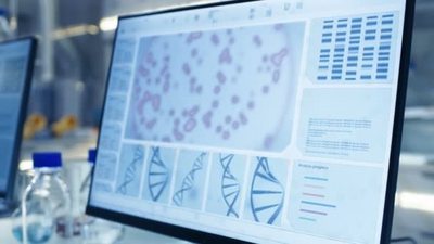 资深女科学家在现代实验室中的计算机上工作她的同事们在旁边她工