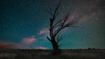 1080延时摄影星空和银河系背景上的一棵侧影树移动中的银河系