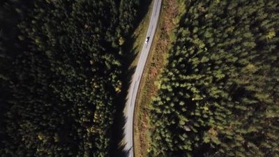4K实拍树木丛生的森林中间有一条公路鸟瞰图