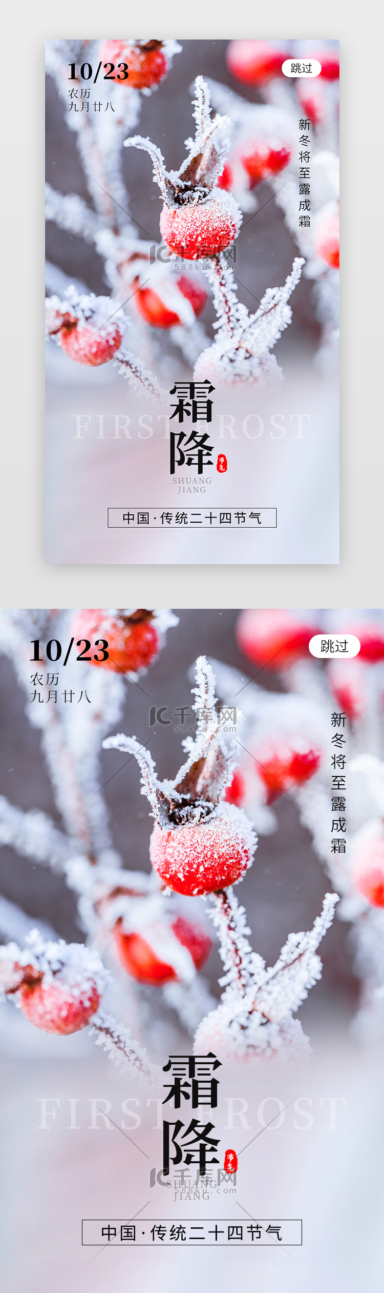 二十四节气霜降app闪屏创意红色果子