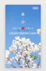 二十四节气之春分闪屏、引导页小清新蓝色樱花