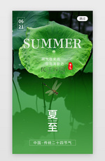 二十四节气夏至app闪屏创意绿色莲花