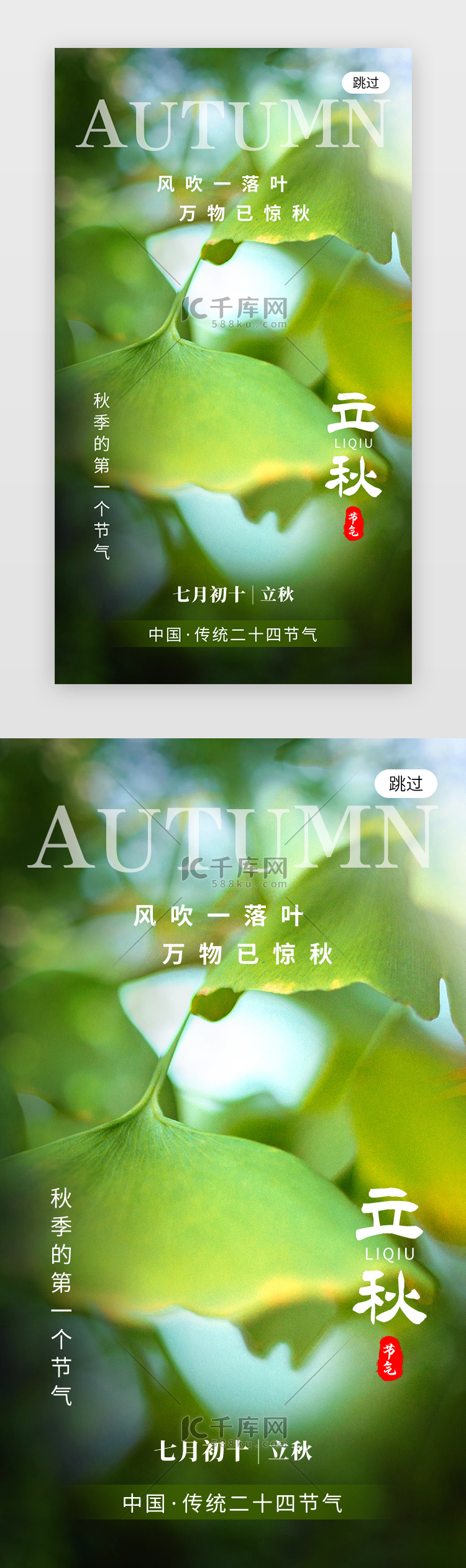 二十四节气立秋app闪屏创意绿色银杏叶