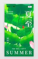 二十四节气夏至app闪屏创意绿色荷叶